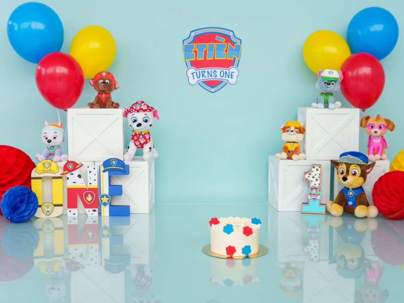 512. Paw Patrol